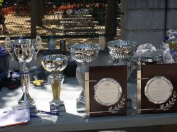 XVII Concentracion - 2010